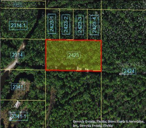 HOLOPAW GROVES RD, ST CLOUD, FL — photo 4