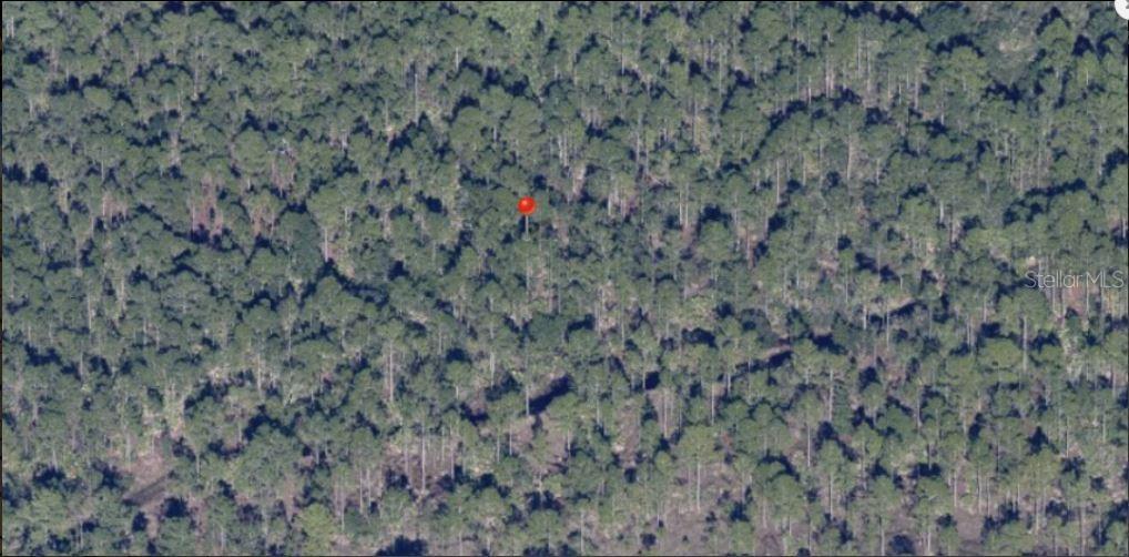 HOLOPAW GROVES RD, ST CLOUD, FL — photo 2