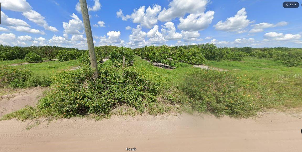 HOLOPAW GROVES RD, ST CLOUD, FL — photo 7