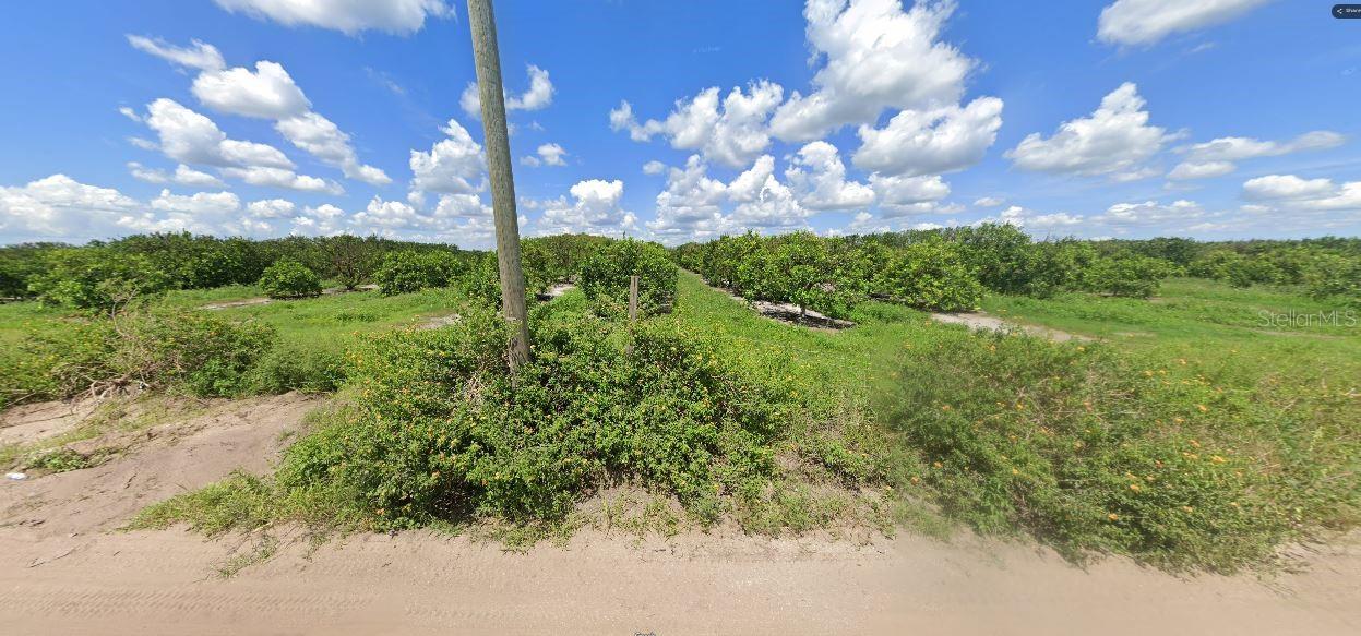 HOLOPAW GROVES RD, ST CLOUD, FL — photo 3