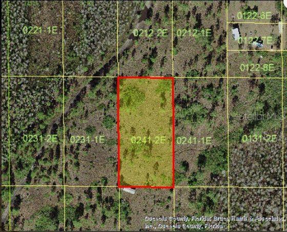 HOLOPAW GROVES RD, ST CLOUD, FL — photo 3