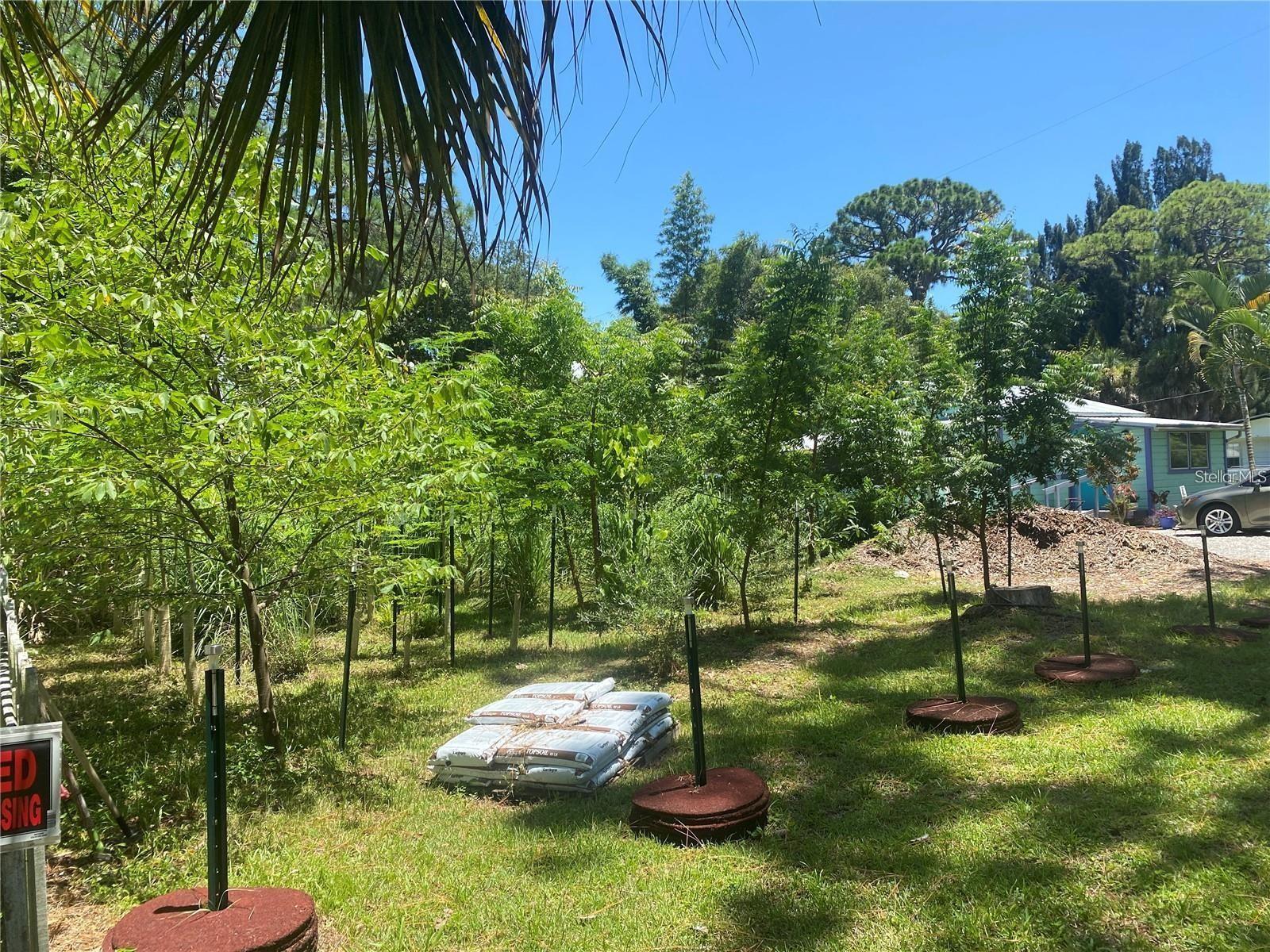 456 WASHINGTON AVE, OSPREY, FL — photo 6