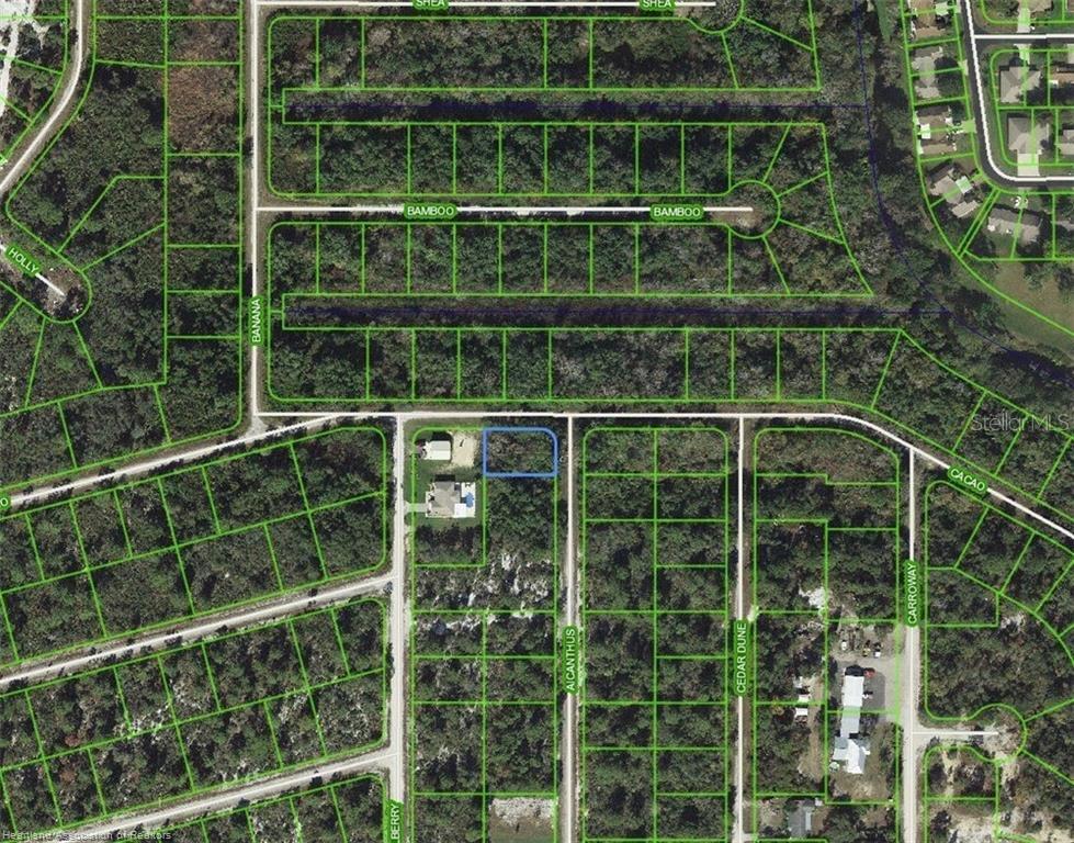1218 AILANTHUS ST, LAKE PLACID, FL