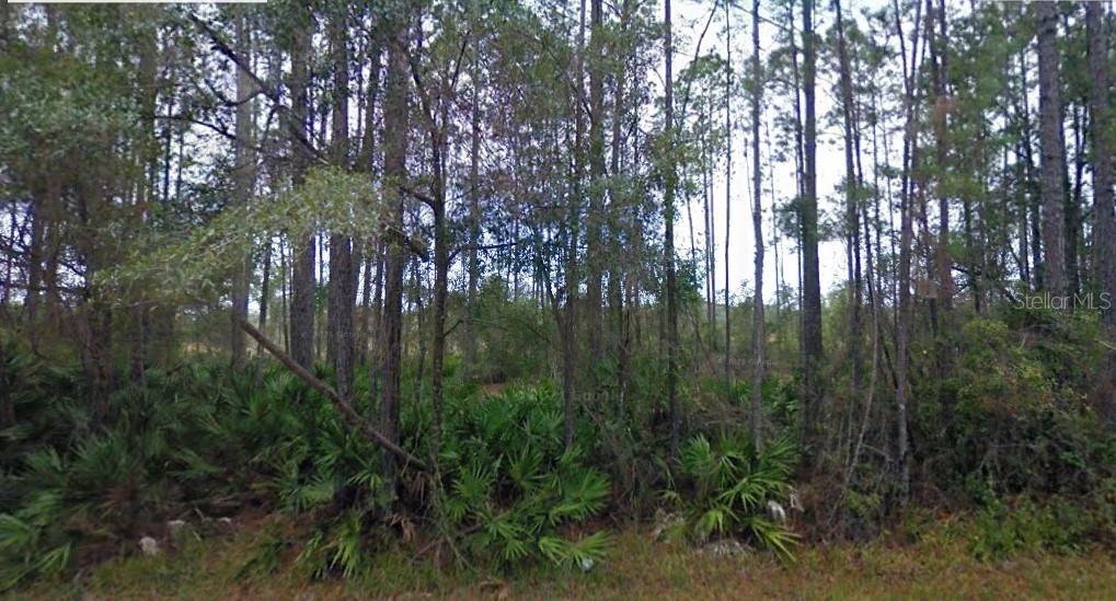NE 65TH AVE, CITRA, FL