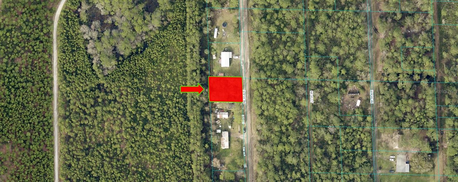 NE 65TH AVE, CITRA, FL — photo 2