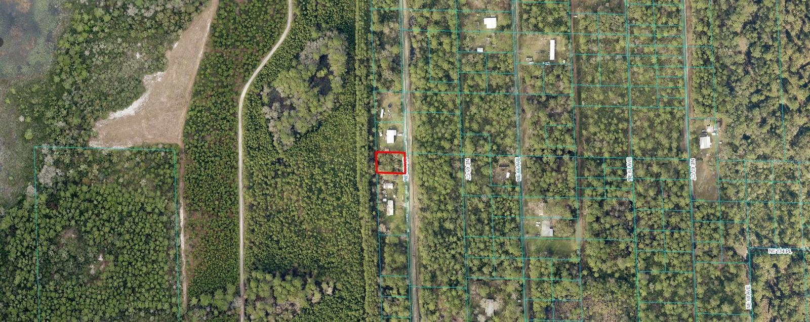 NE 65TH AVE, CITRA, FL — photo 3