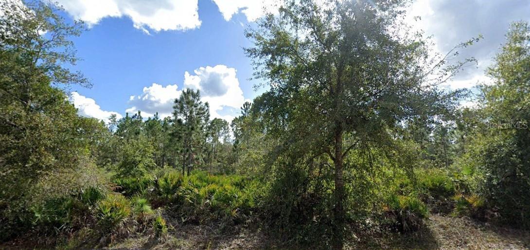 ALBA DR, INDIAN LAKE ESTATES, FL