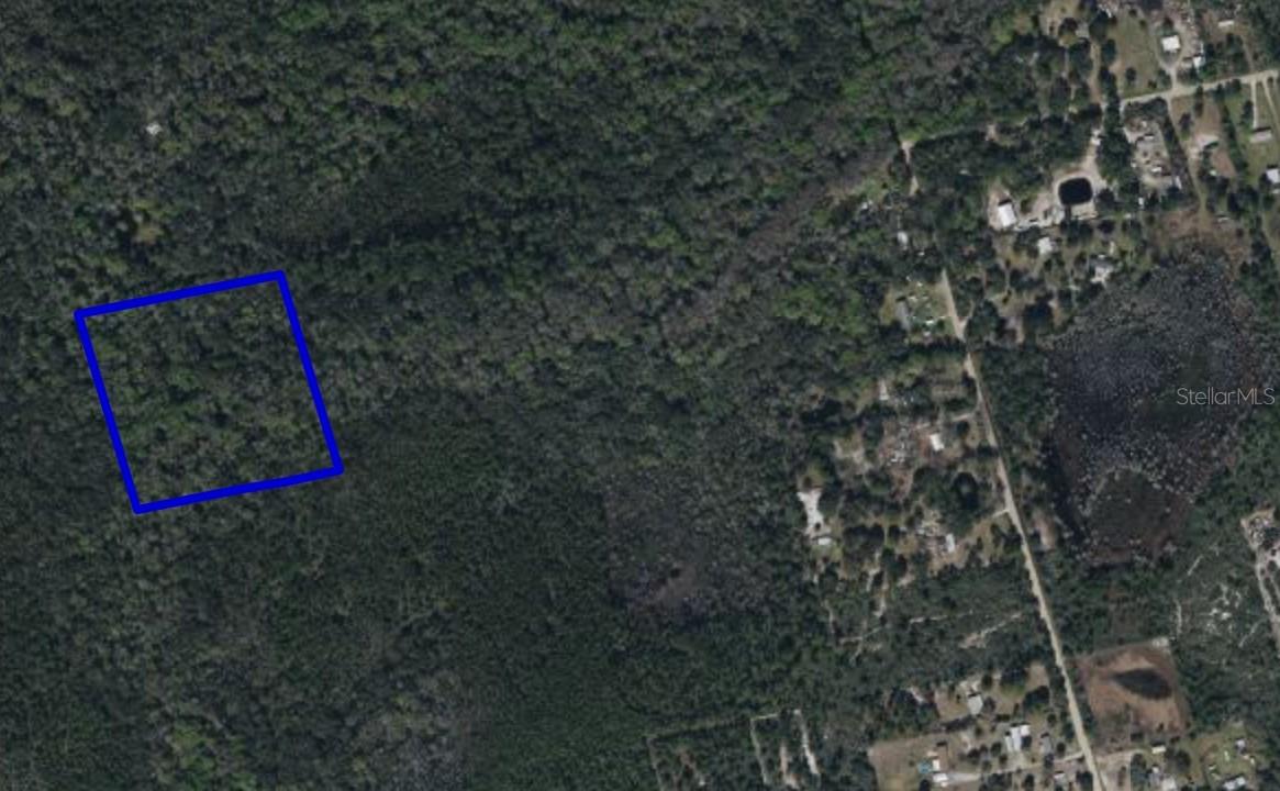 095 PINE NEEDLE RD, MIMS, FL