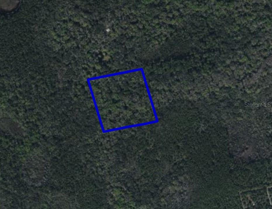 095 PINE NEEDLE RD, MIMS, FL — photo 2