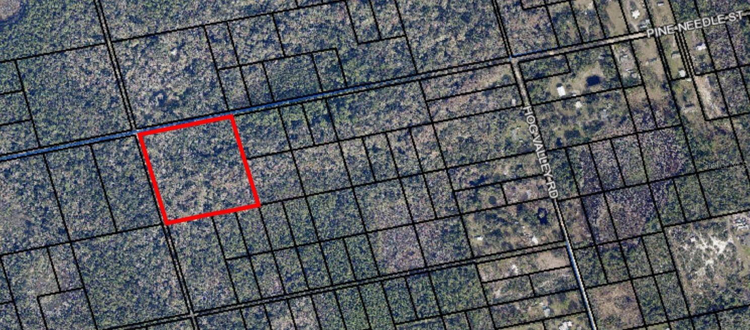 095 PINE NEEDLE RD, MIMS, FL — photo 3