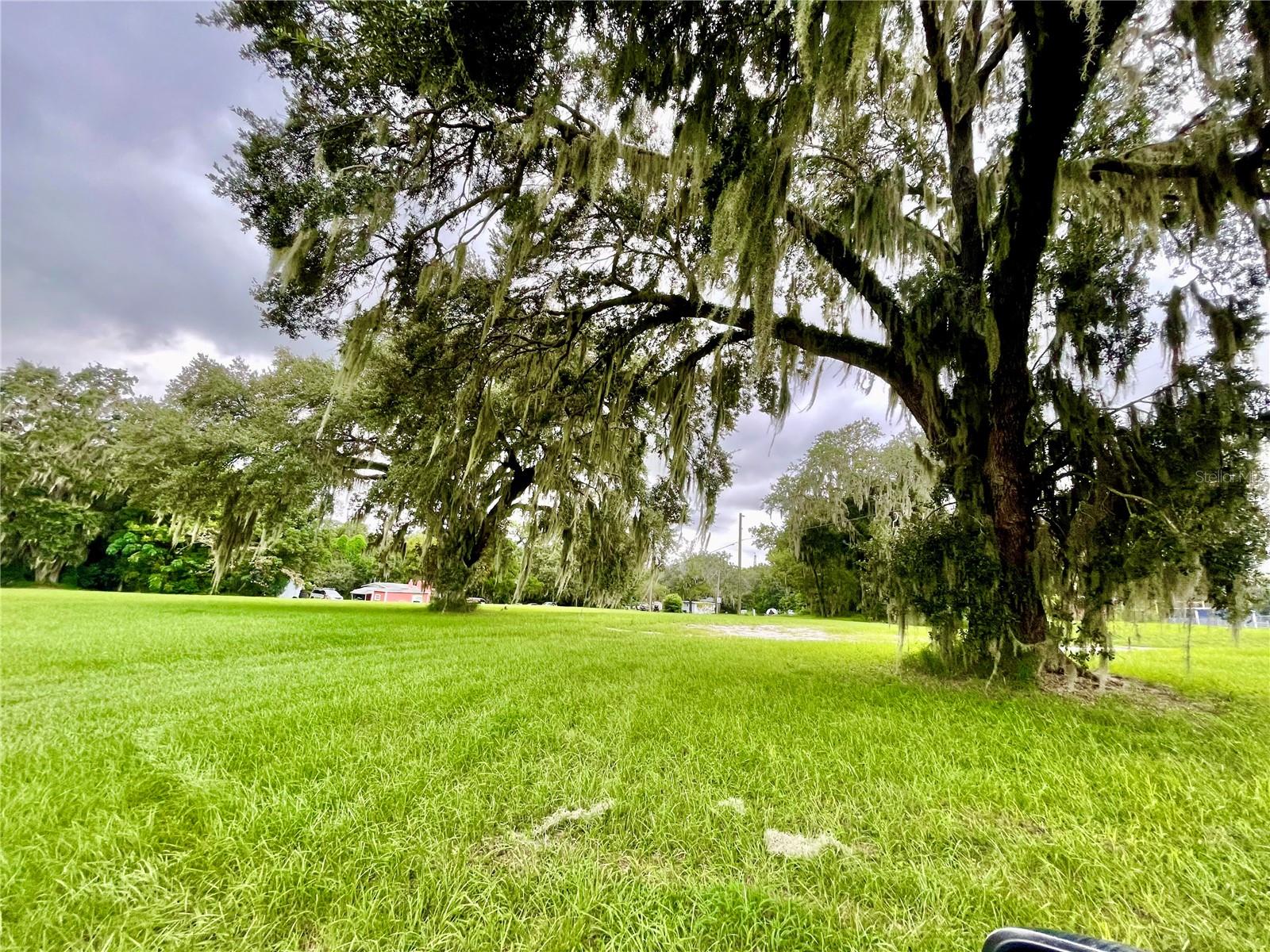 2409 MONTCLAIR RD, LEESBURG, FL — photo 14