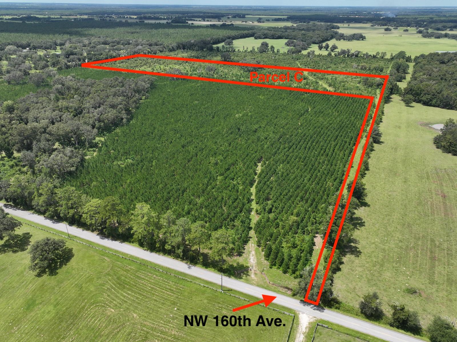 Parcel C NW 160TH AVE, MORRISTON, FL