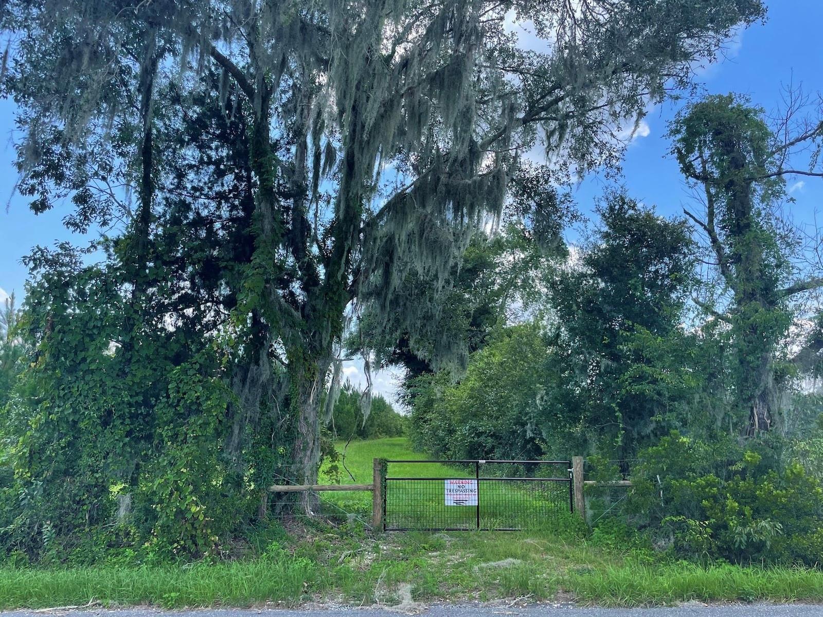Parcel C NW 160TH AVE, MORRISTON, FL — photo 3