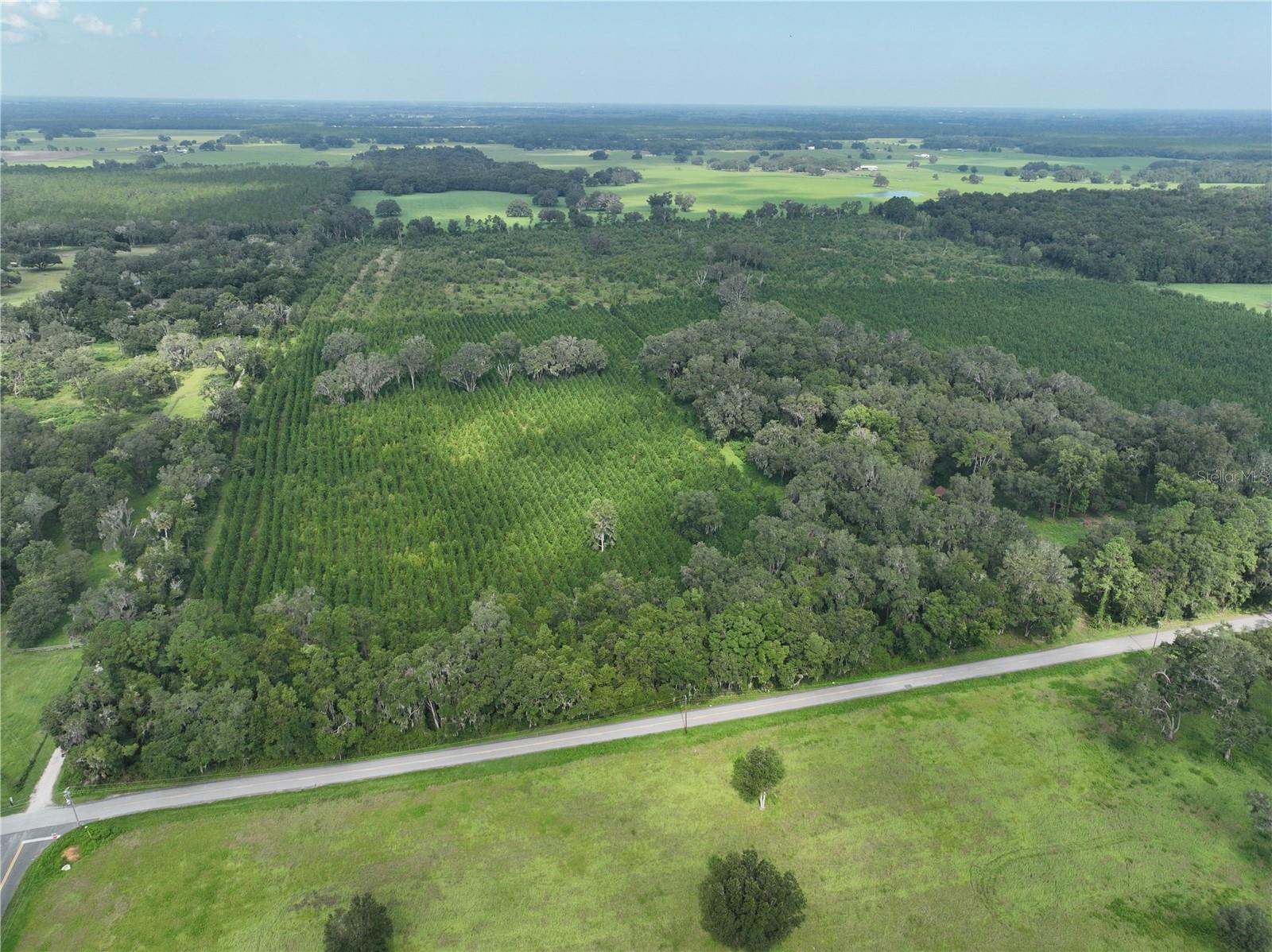 Parcel C NW 160TH AVE, MORRISTON, FL — photo 4