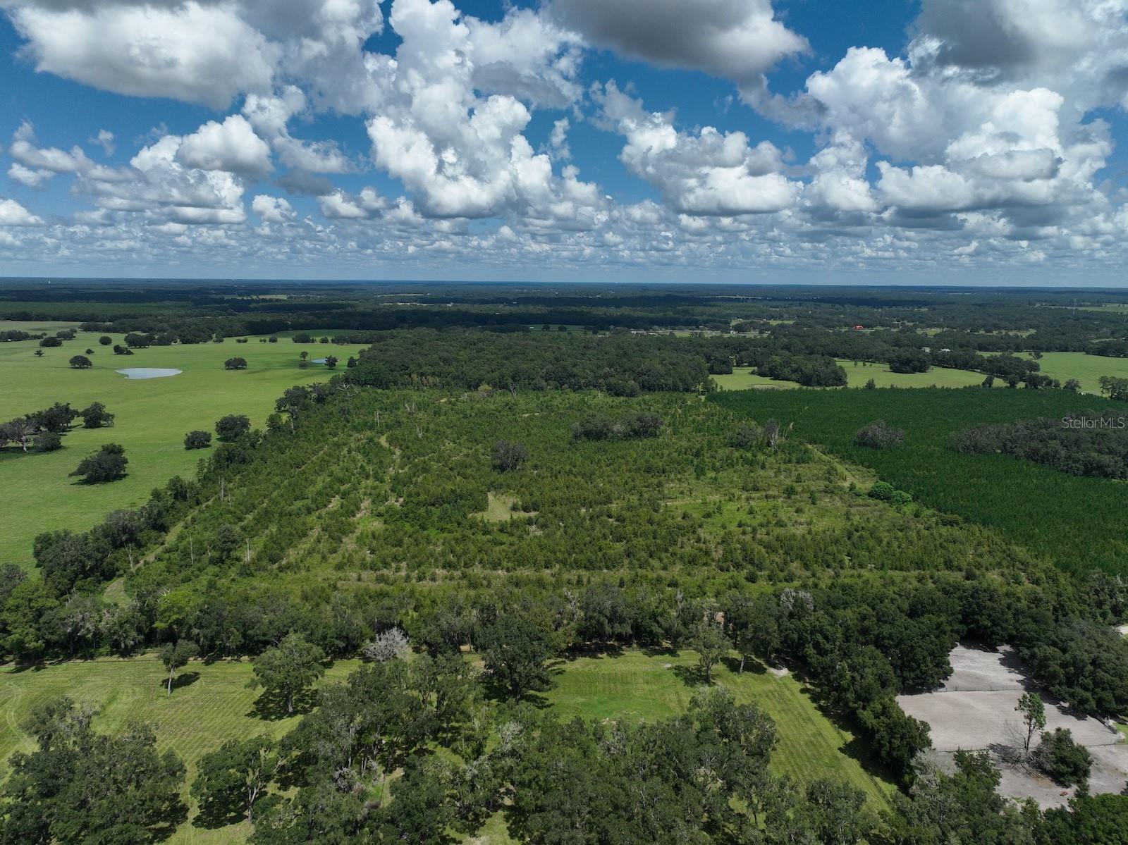 Parcel C NW 160TH AVE, MORRISTON, FL — photo 6