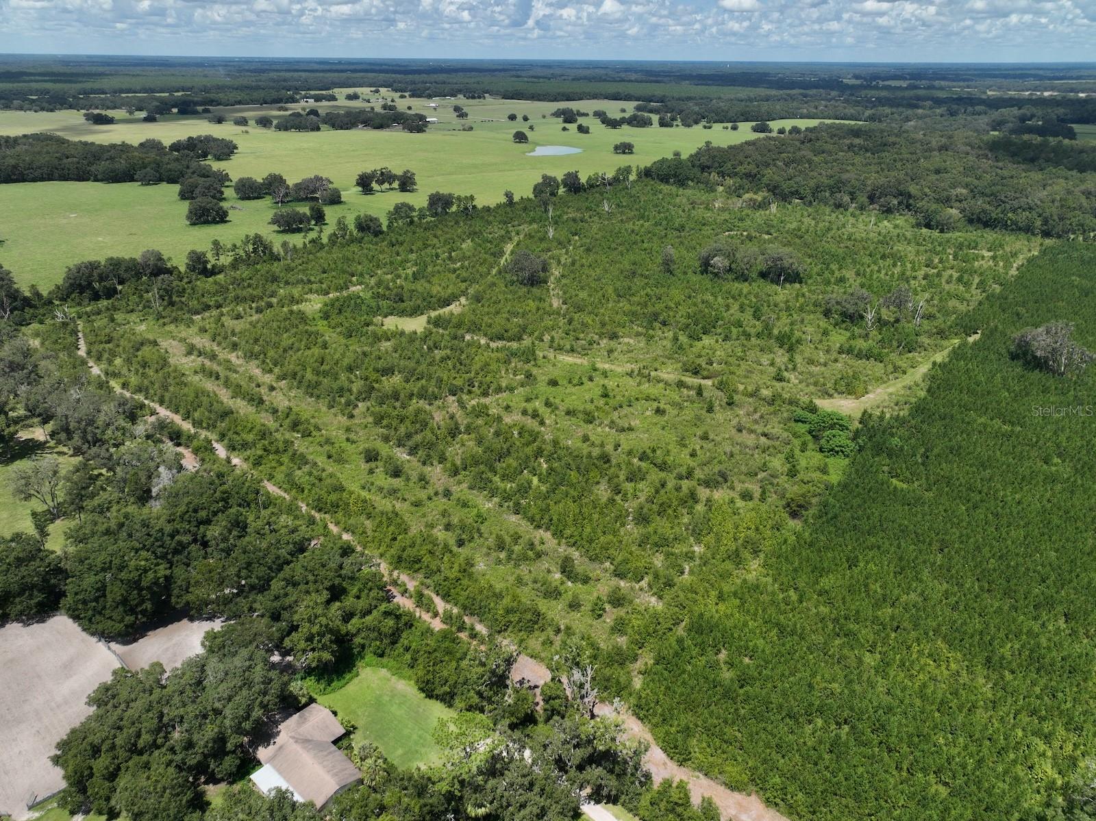 Parcel C NW 160TH AVE, MORRISTON, FL — photo 8