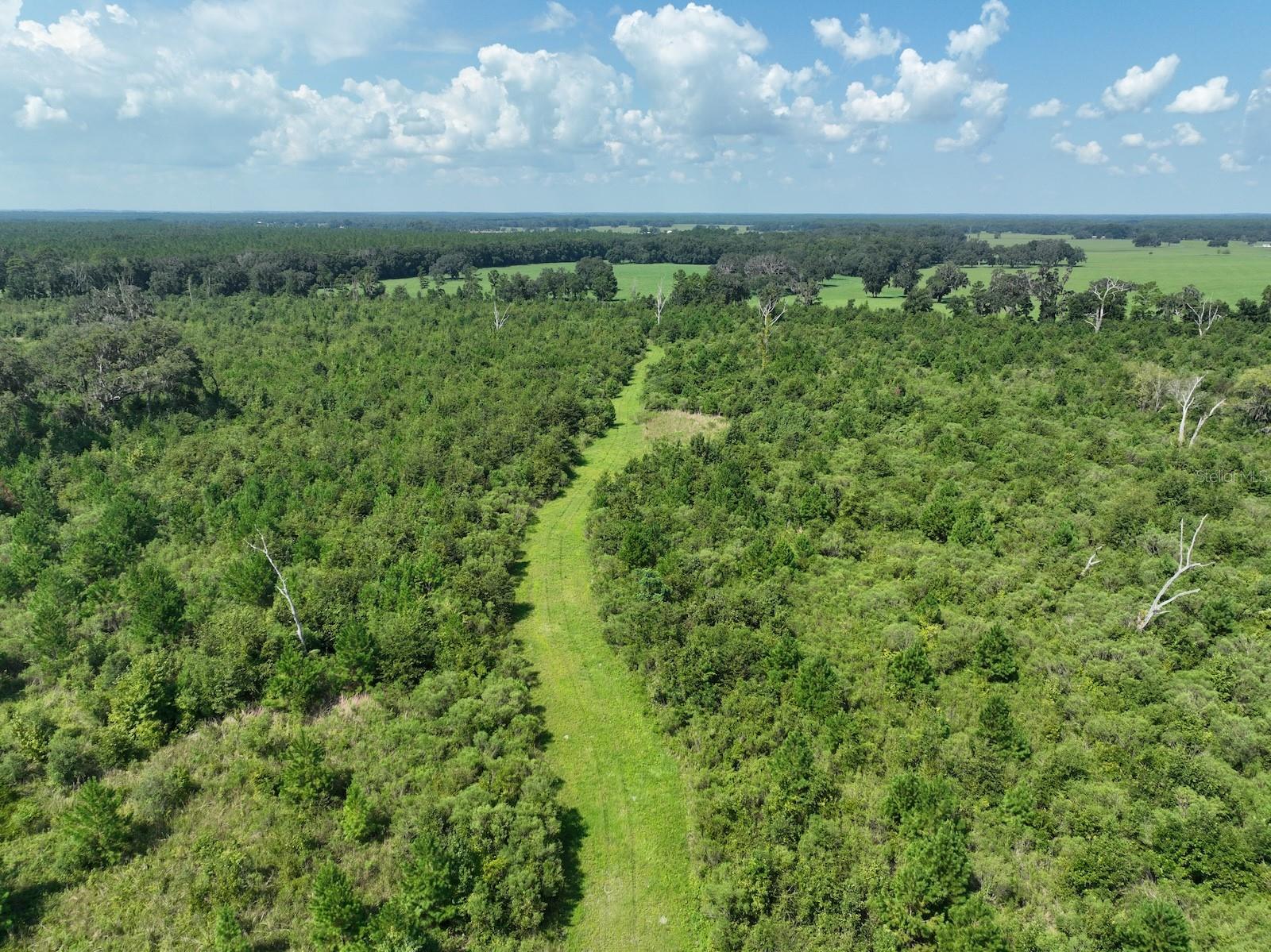 Parcel C NW 160TH AVE, MORRISTON, FL — photo 9