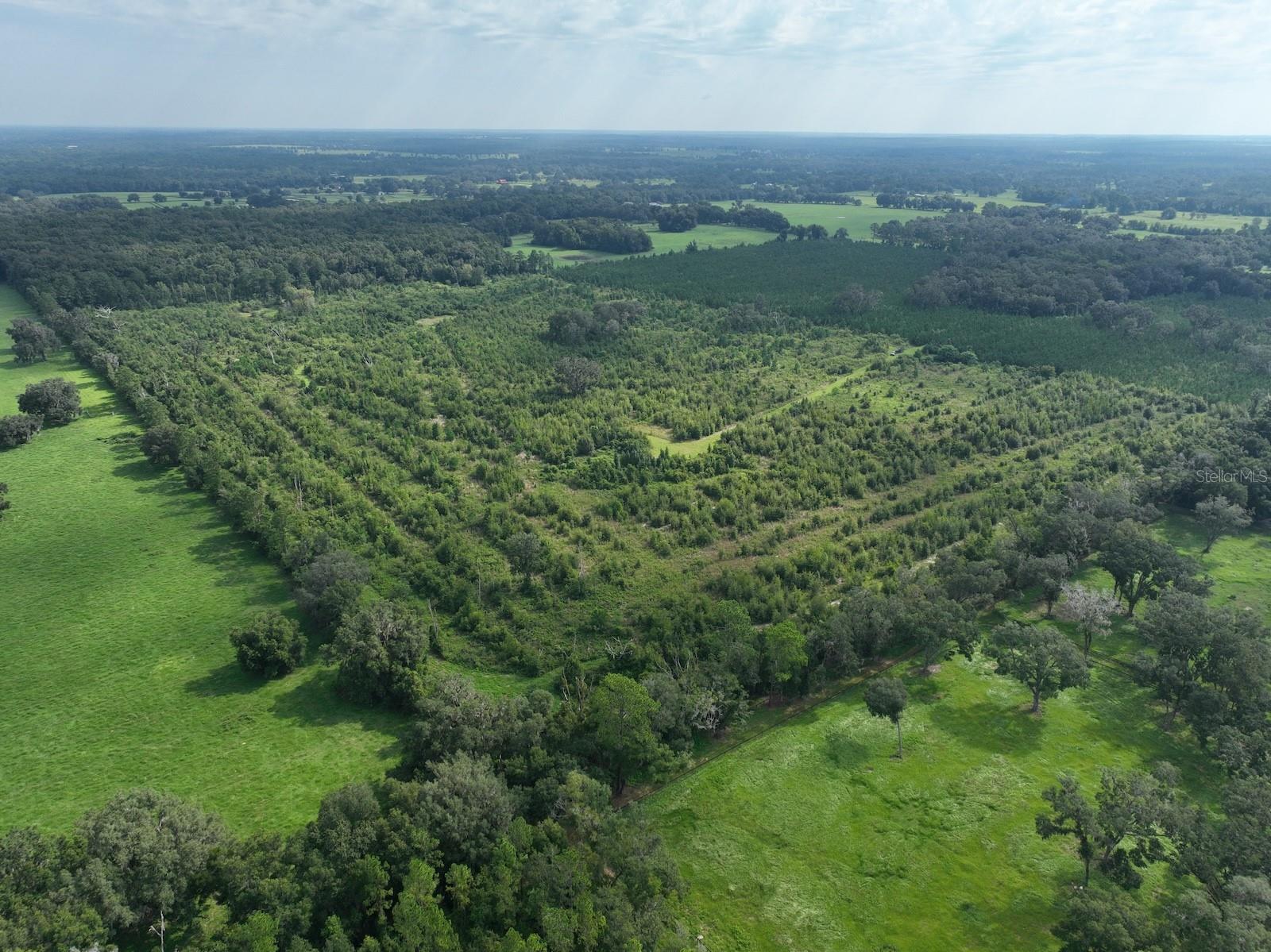 Parcel C NW 160TH AVE, MORRISTON, FL — photo 10