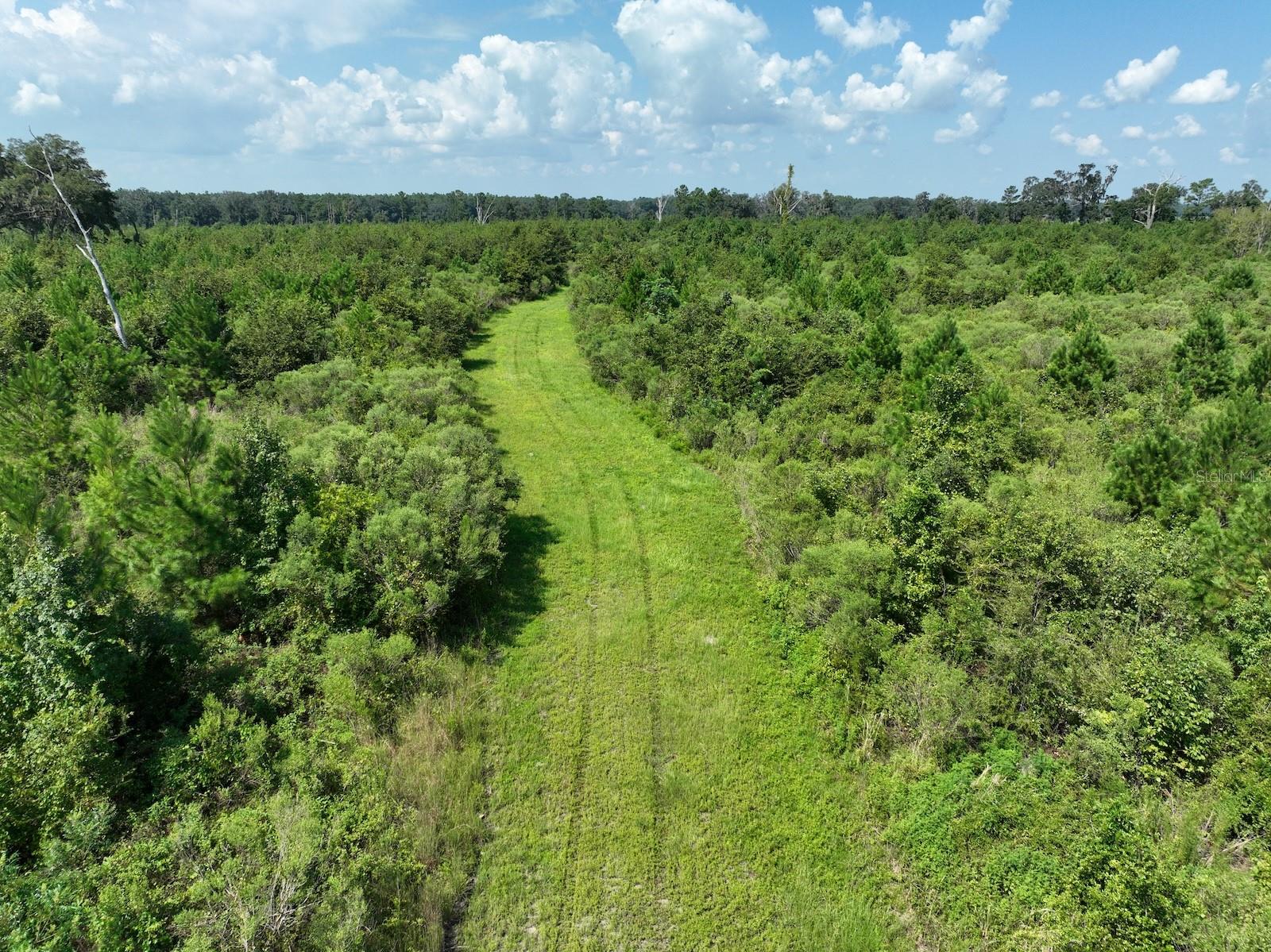 Parcel C NW 160TH AVE, MORRISTON, FL — photo 11