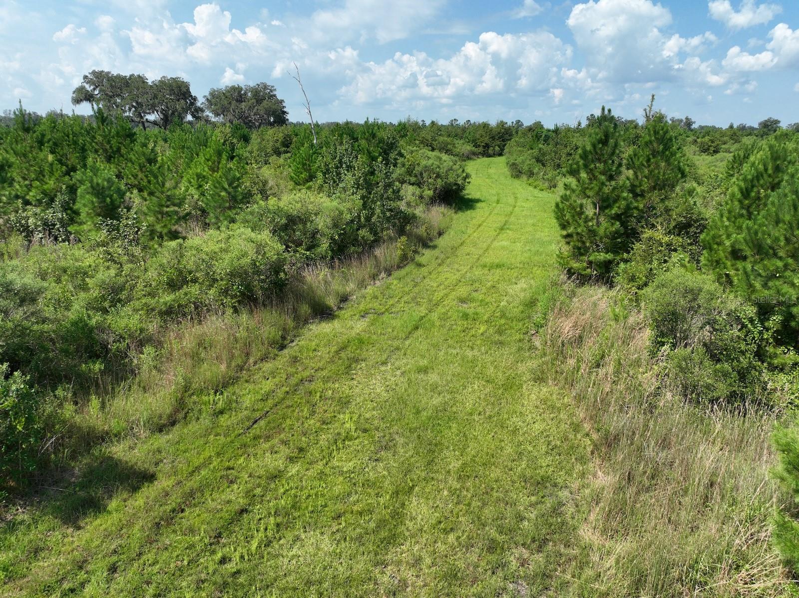 Parcel C NW 160TH AVE, MORRISTON, FL — photo 12