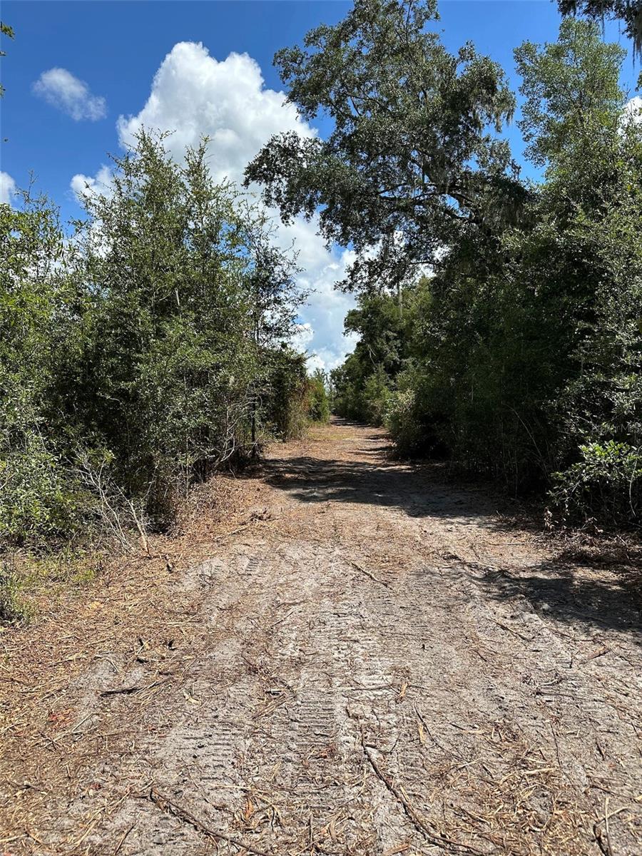 Parcel D NW 160TH AVE, MORRISTON, FL — photo 2