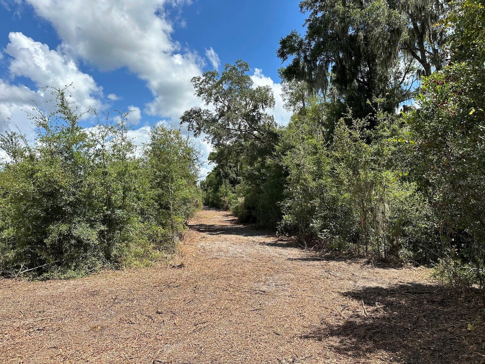 Parcel D NW 160TH AVE, MORRISTON, FL — photo 5