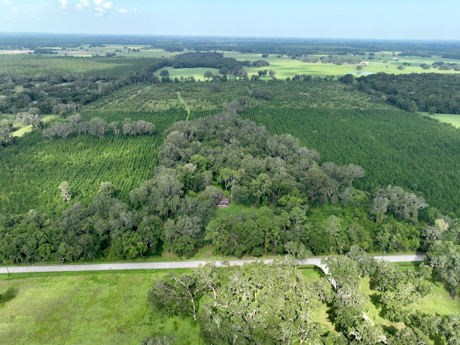 Parcel D NW 160TH AVE, MORRISTON, FL — photo 9