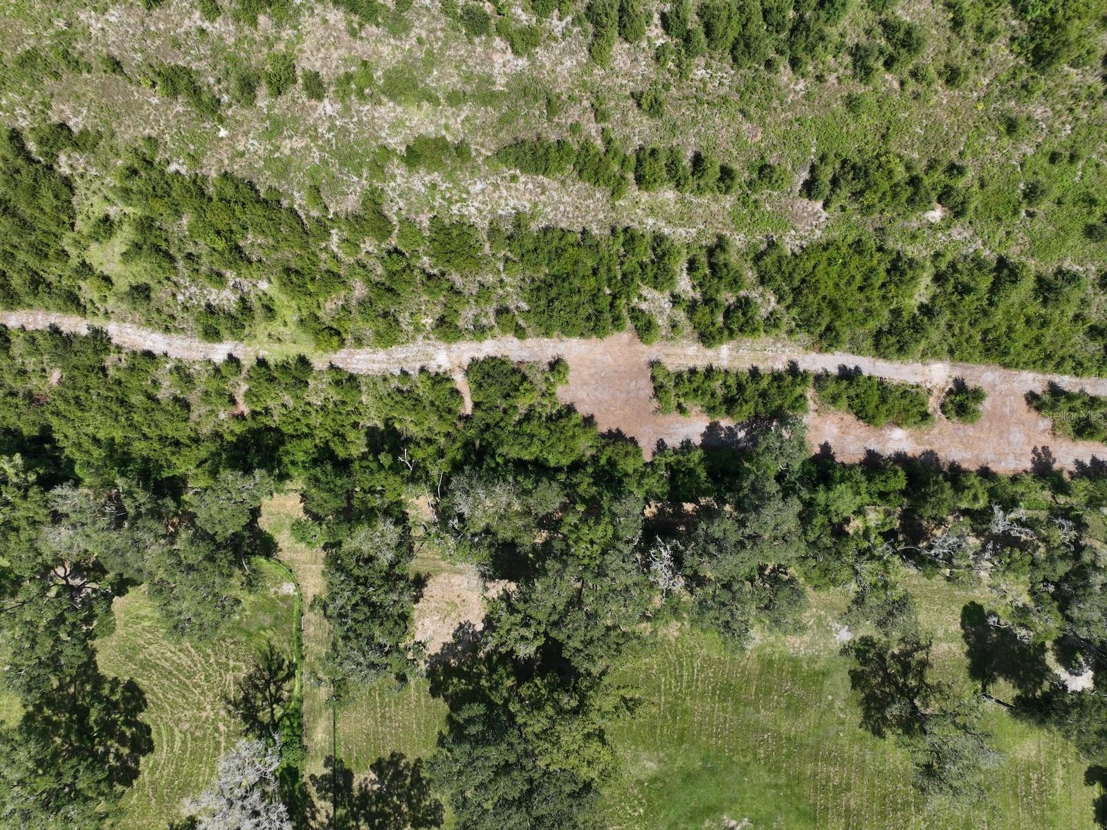 Parcel D NW 160TH AVE, MORRISTON, FL — photo 12