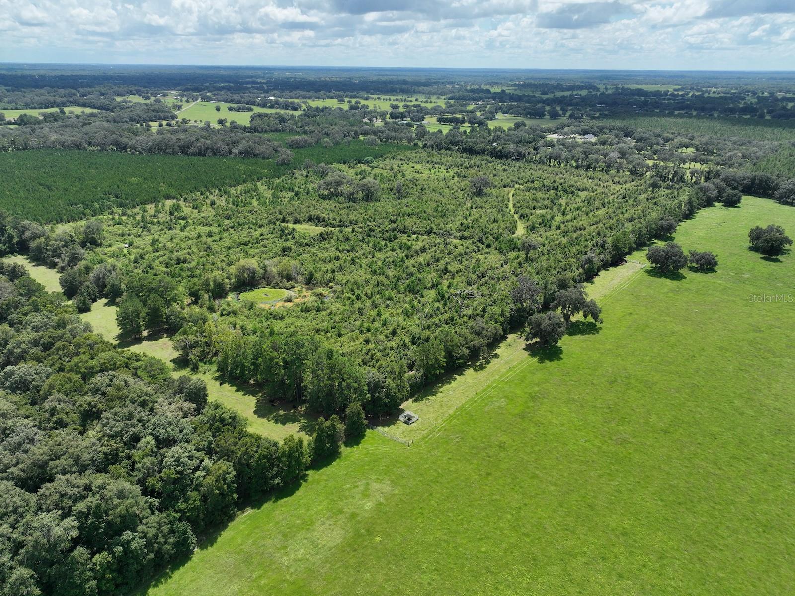 Parcel D NW 160TH AVE, MORRISTON, FL — photo 14