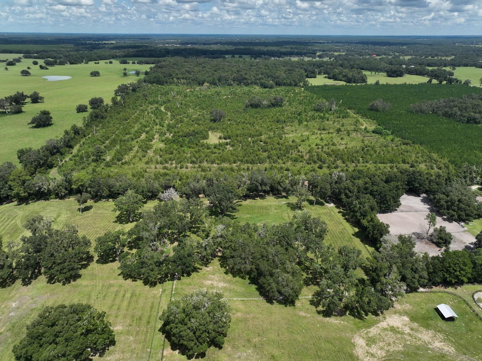Parcel D NW 160TH AVE, MORRISTON, FL — photo 15