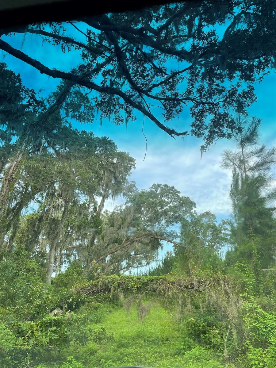 , MORRISTON, FL — photo 13