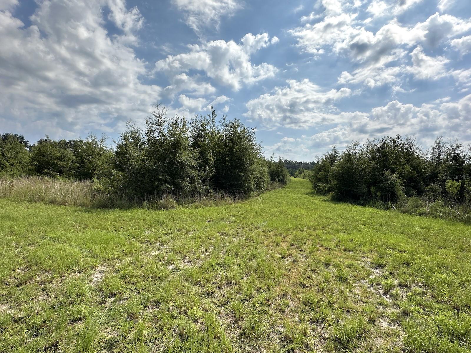 , MORRISTON, FL — photo 15