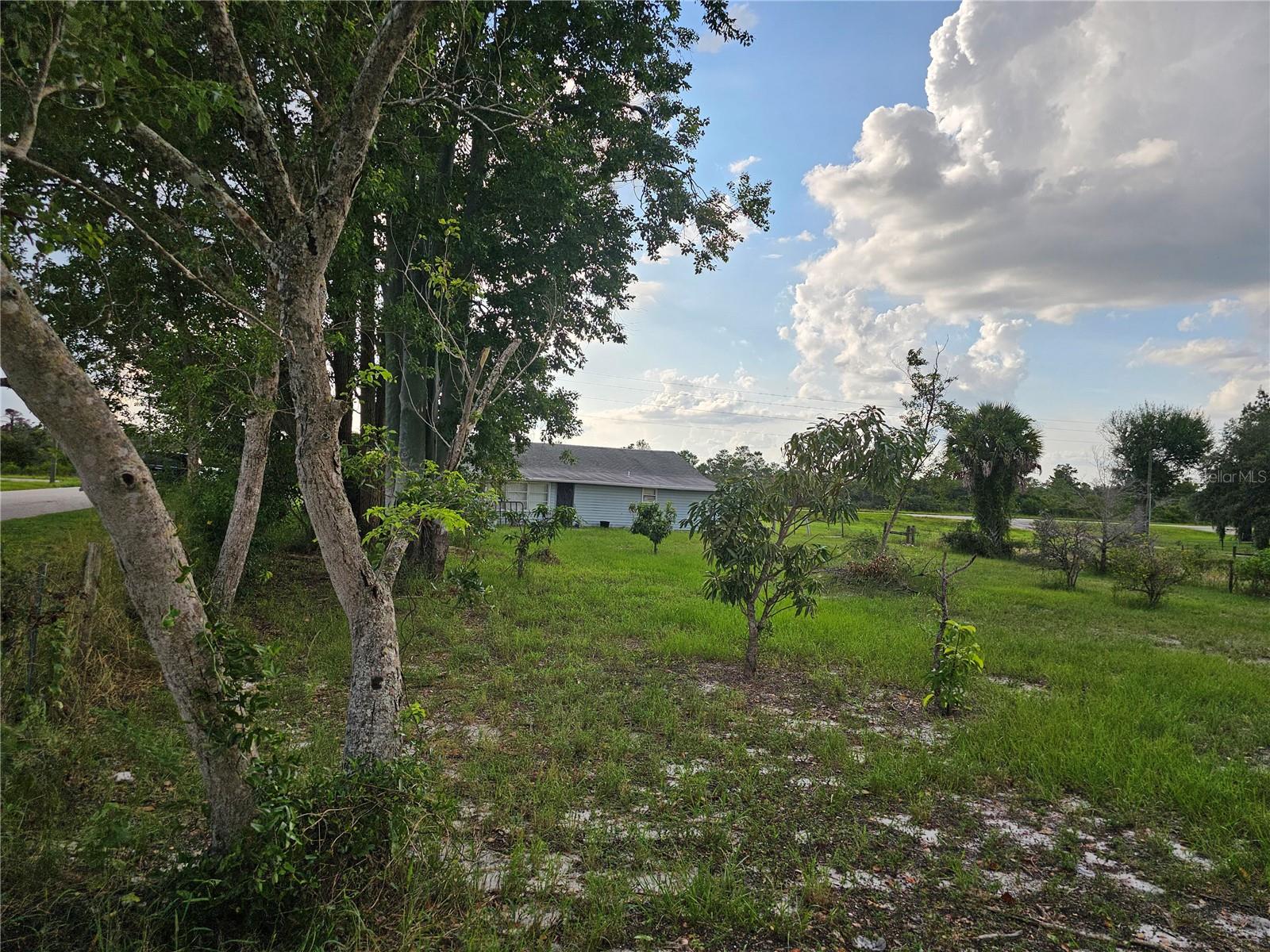 320 COUNTY ROAD 619, LAKE PLACID, FL — photo 27