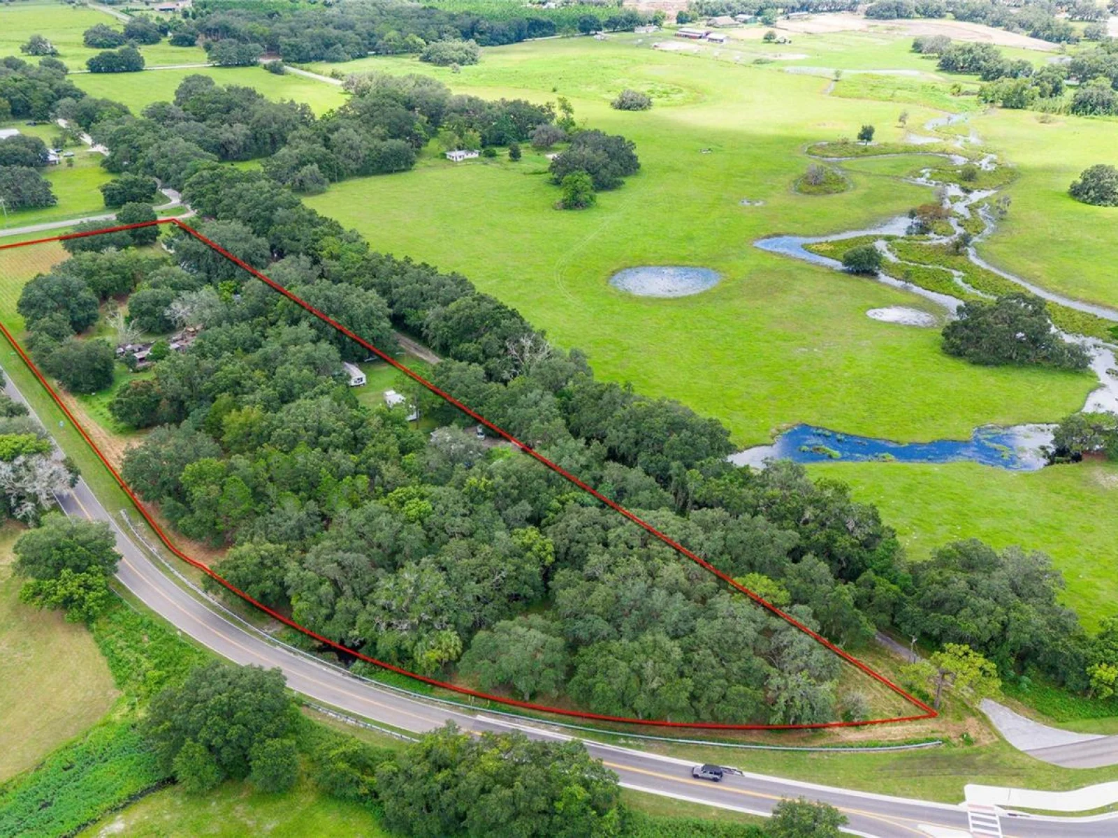 32551 LEONARD RD, SAN ANTONIO, FL — photo 10
