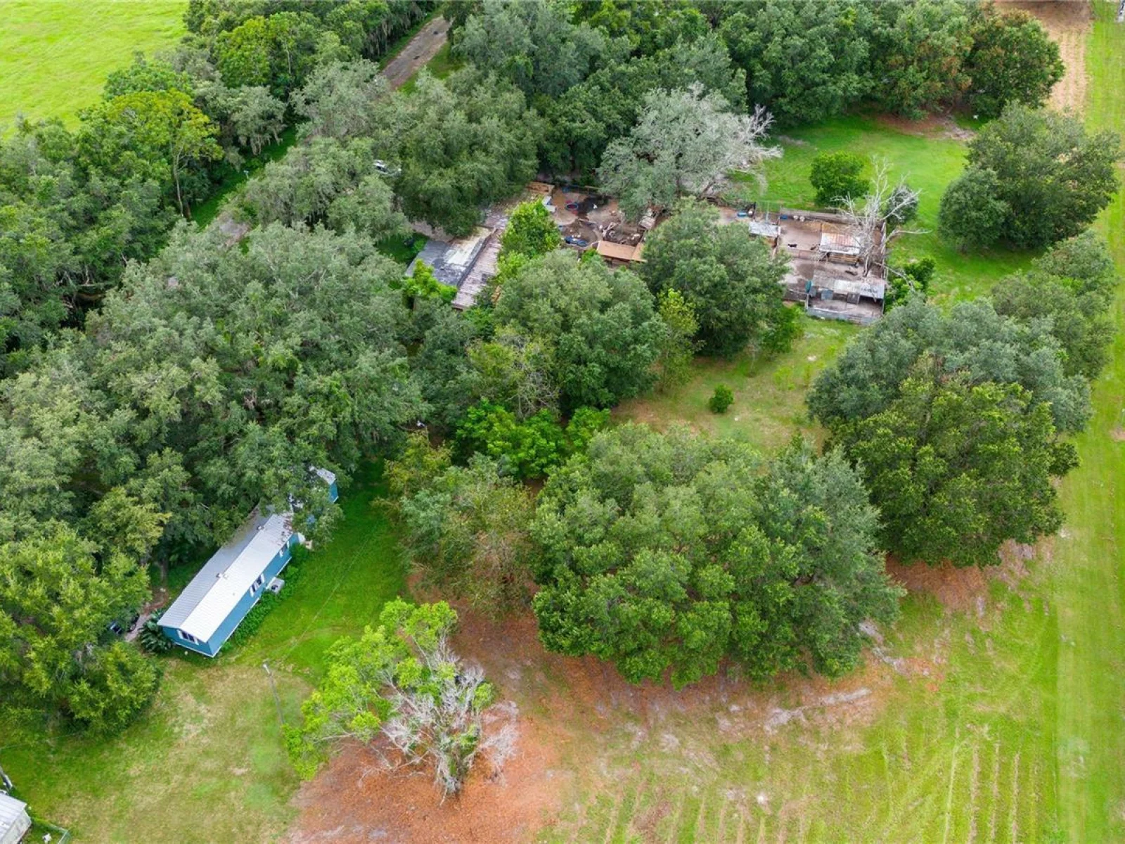 32551 LEONARD RD, SAN ANTONIO, FL — photo 17