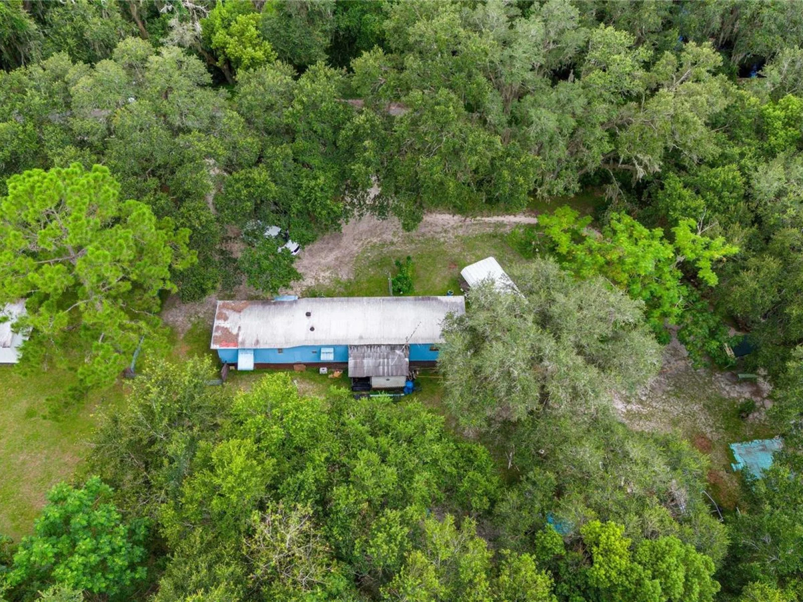 32551 LEONARD RD, SAN ANTONIO, FL — photo 21