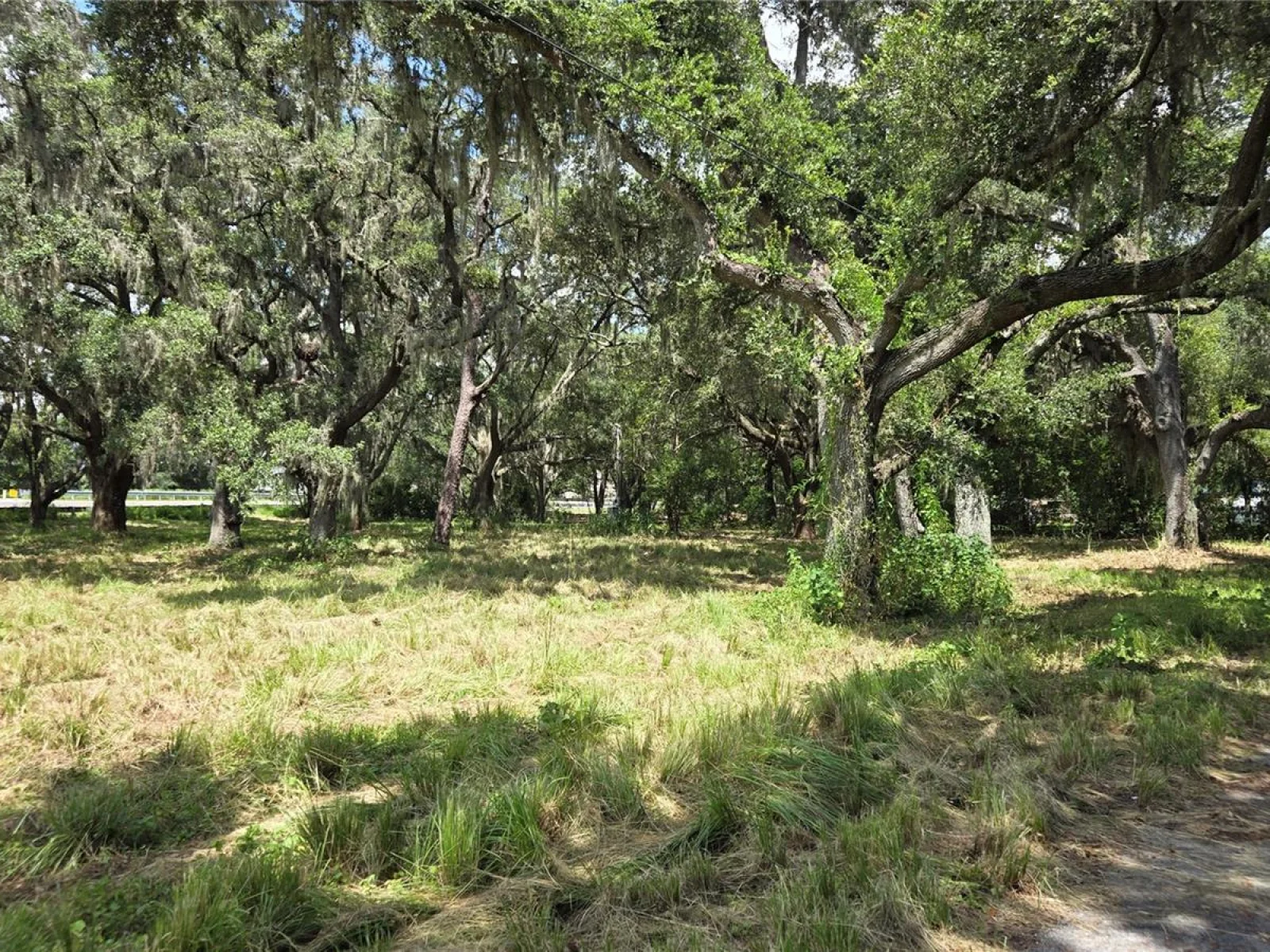 32551 LEONARD RD, SAN ANTONIO, FL — photo 29