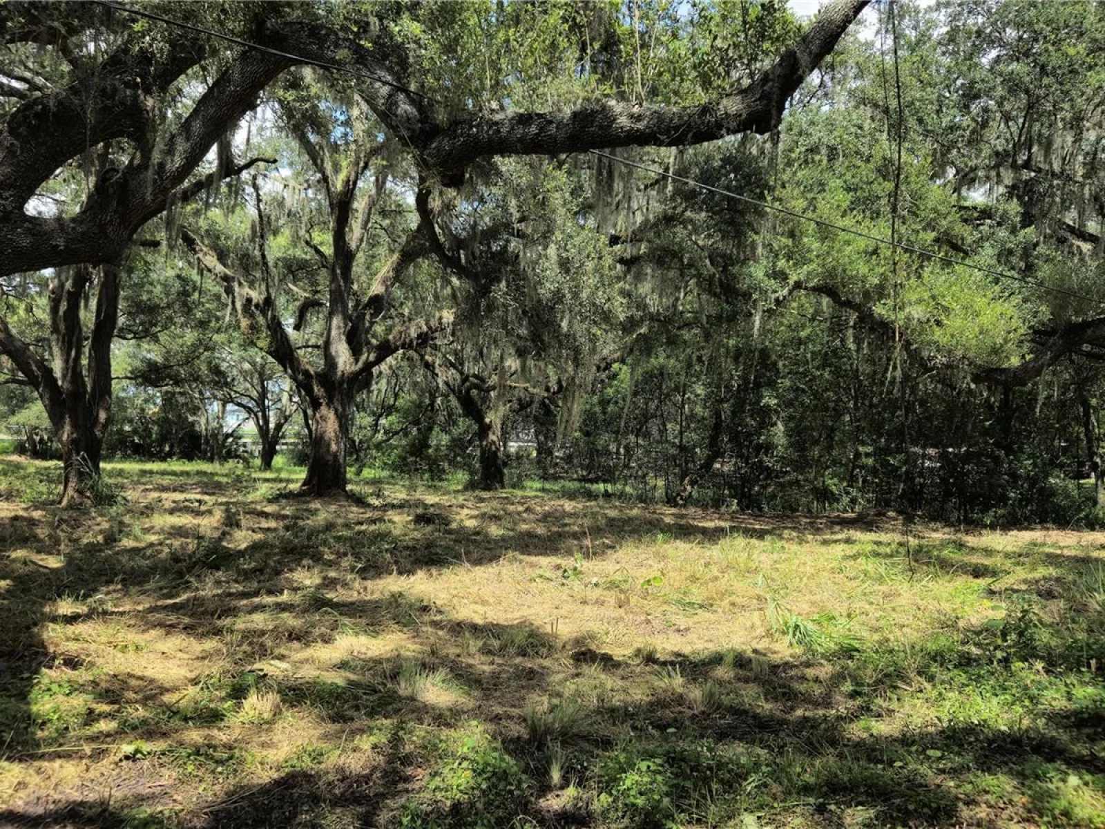 32551 LEONARD RD, SAN ANTONIO, FL — photo 30