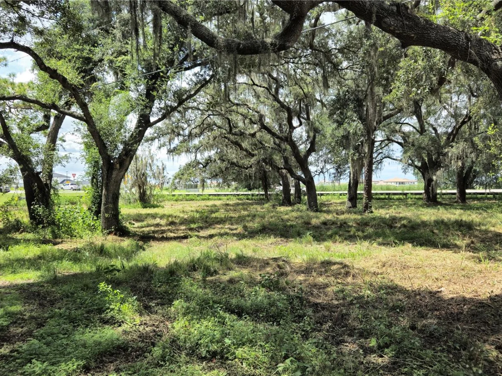 32551 LEONARD RD, SAN ANTONIO, FL — photo 31