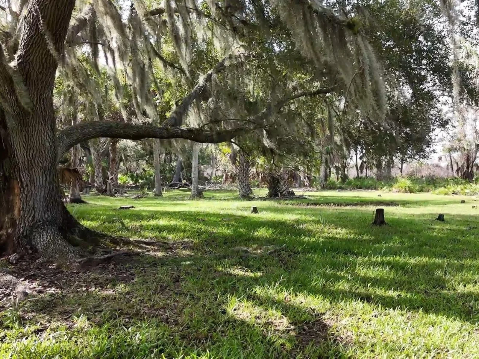 SW ADDISON AVE #A, ARCADIA, FL — photo 1