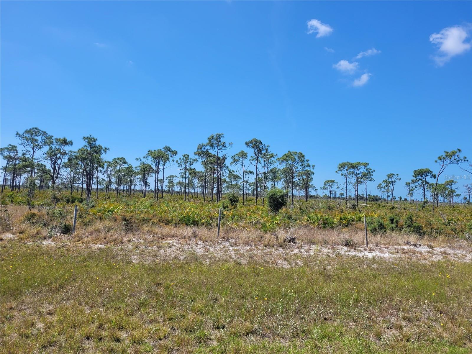 12076 SEA-ROBIN LN, PLACIDA, FL — photo 11