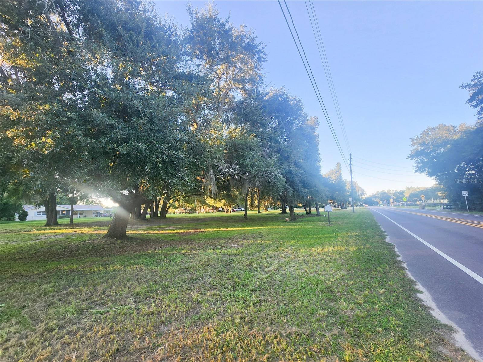 00 LAKE DAISY DR, ALTOONA, FL — photo 8