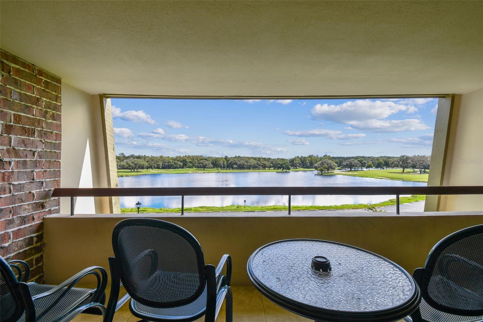36750 US HIGHWAY 19 N #04308, PALM HARBOR, FL — photo 43