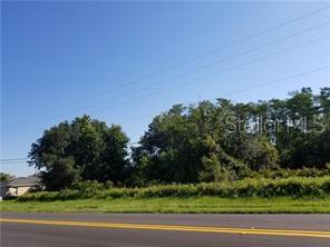 204 RONTUNDA DR, KISSIMMEE, FL