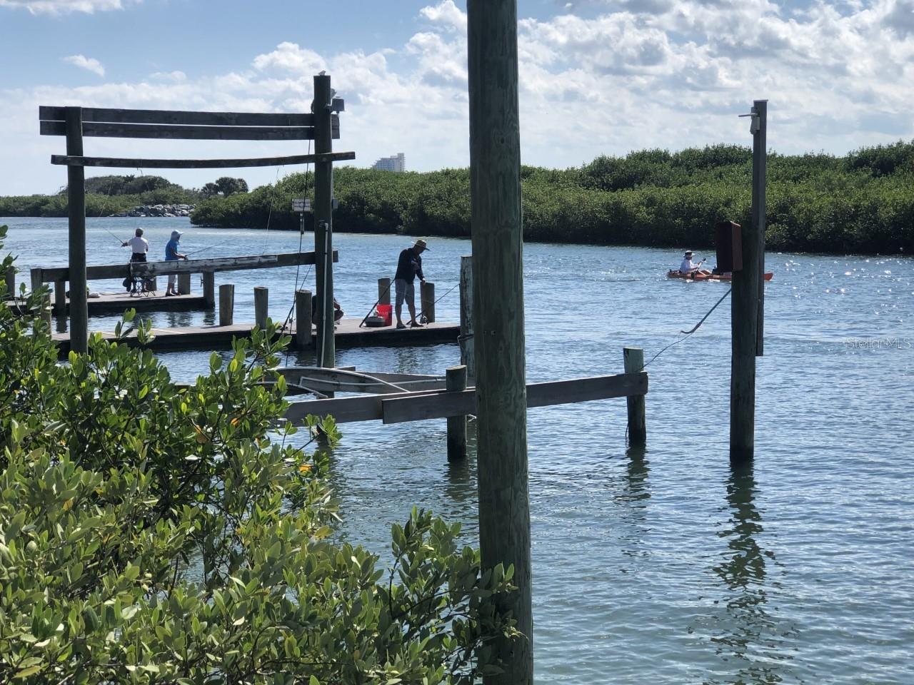 36 MAR AZUL N, PONCE INLET, FL — photo 7