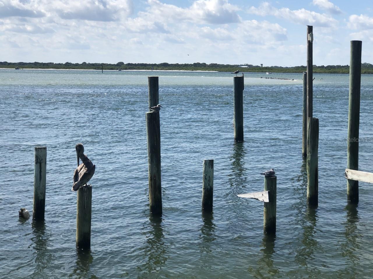 36 MAR AZUL N, PONCE INLET, FL — photo 9