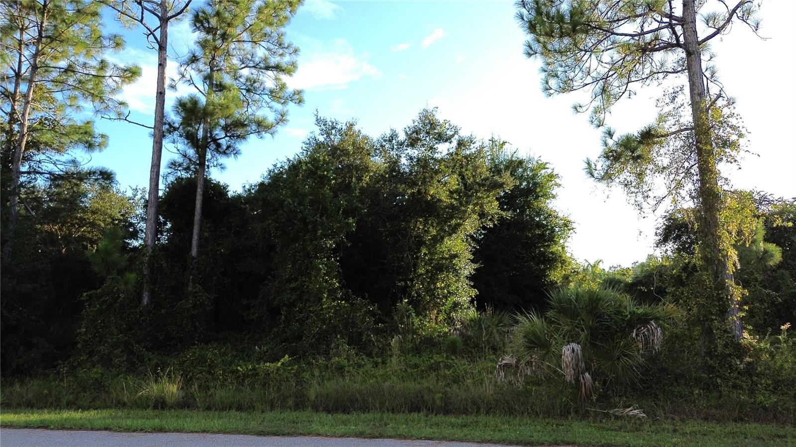 KINGSMAN AVE, NORTH PORT, FL