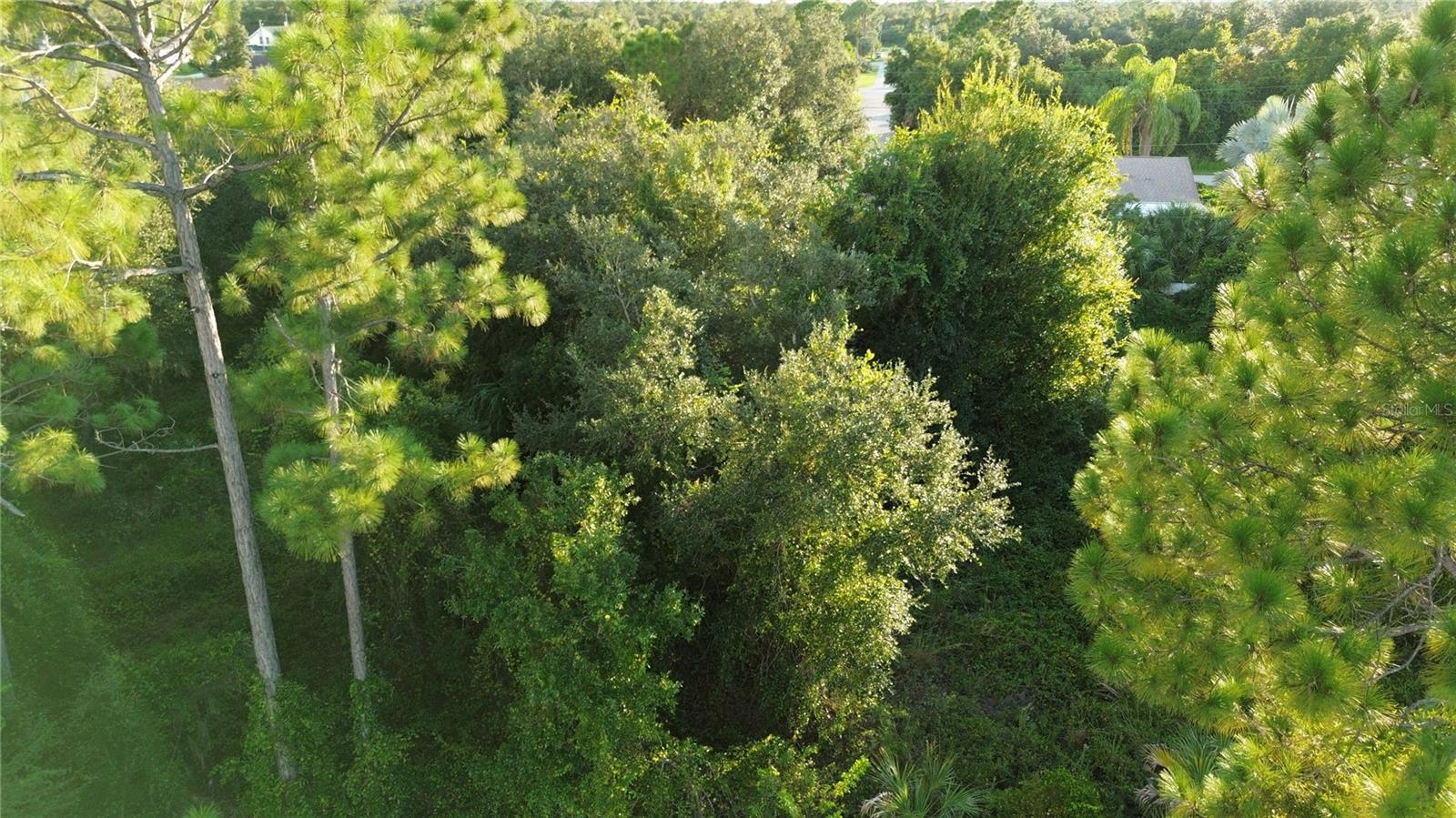 KINGSMAN AVE, NORTH PORT, FL — photo 2