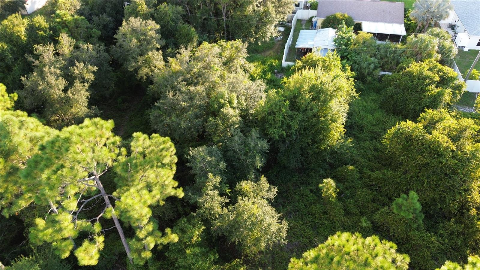 KINGSMAN AVE, NORTH PORT, FL — photo 4