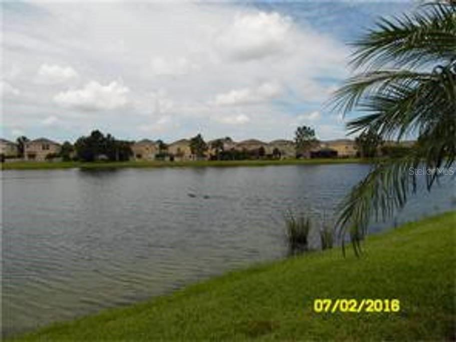 12959 TIGERS EYE DR, VENICE, FL — photo 33